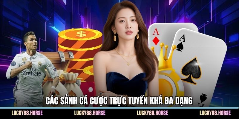 Các sảnh cá cược trực tuyến khá đa dạng